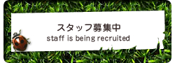 スタッフ募集中