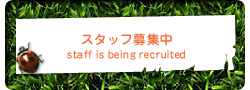 スタッフ募集中