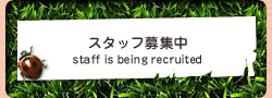 スタッフ募集中